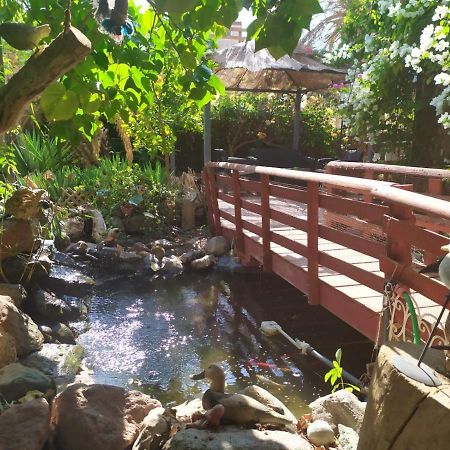 Apartament Lotus Turtle Garden Ejlat Zewnętrze zdjęcie