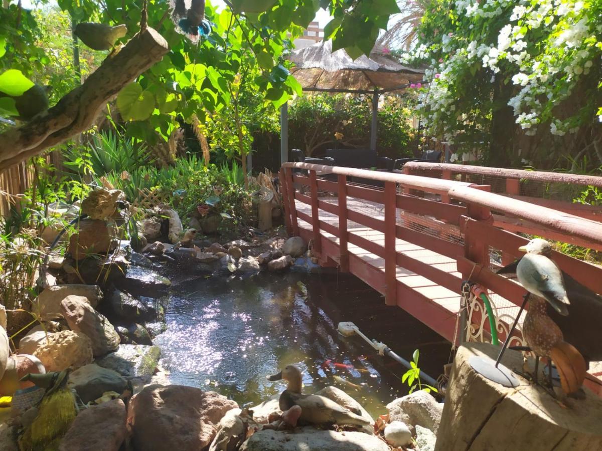 Apartament Lotus Turtle Garden Ejlat Zewnętrze zdjęcie