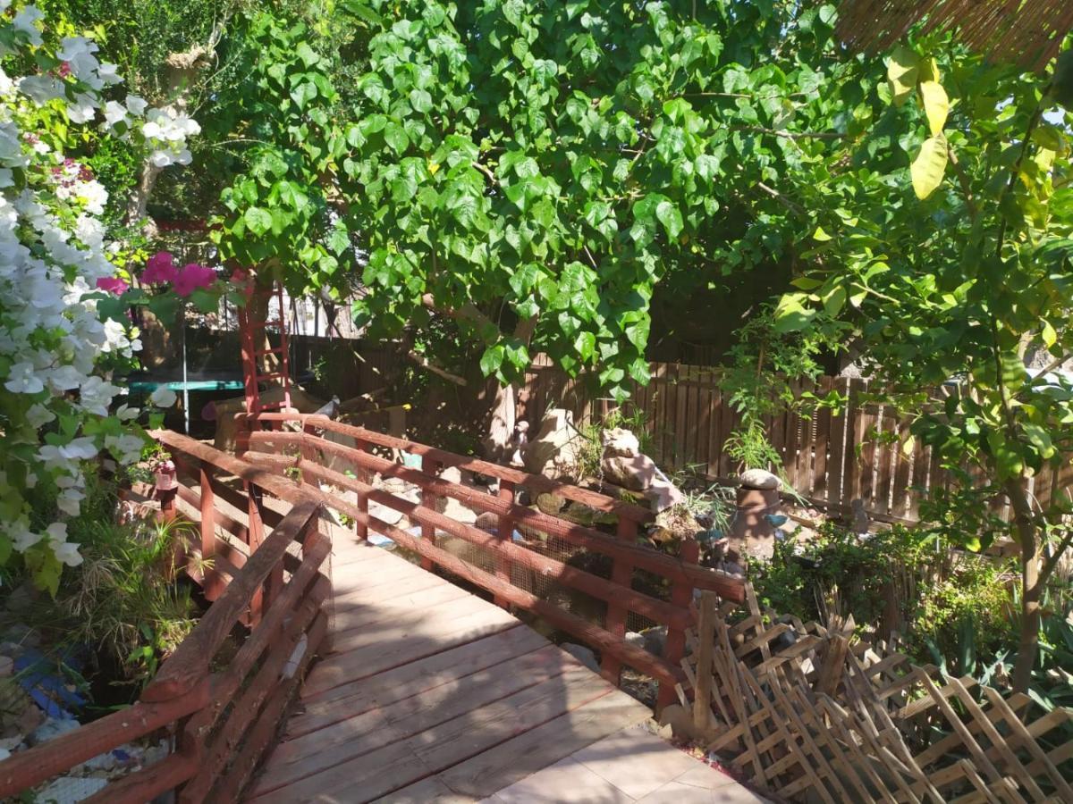 Apartament Lotus Turtle Garden Ejlat Zewnętrze zdjęcie