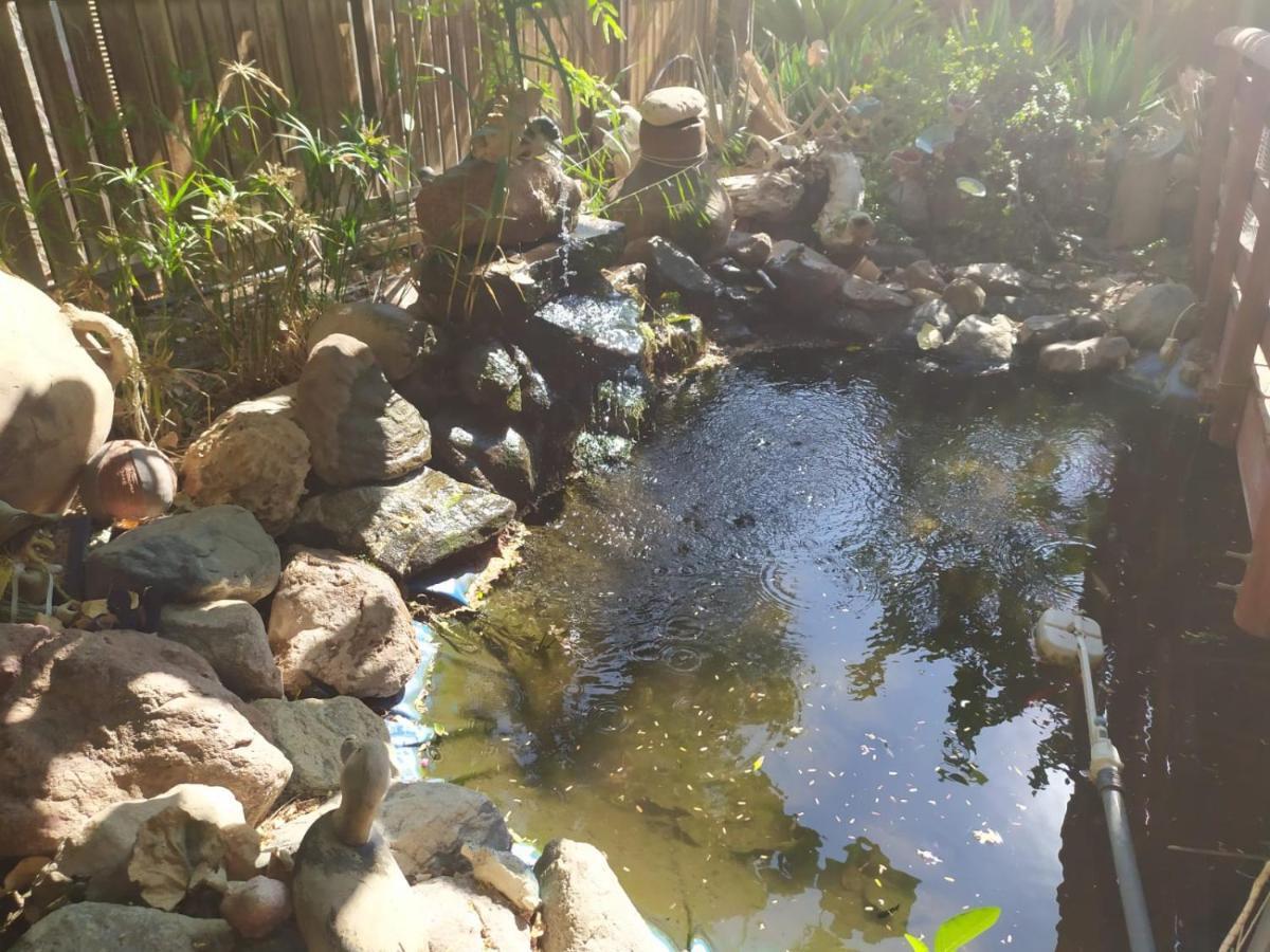Apartament Lotus Turtle Garden Ejlat Zewnętrze zdjęcie