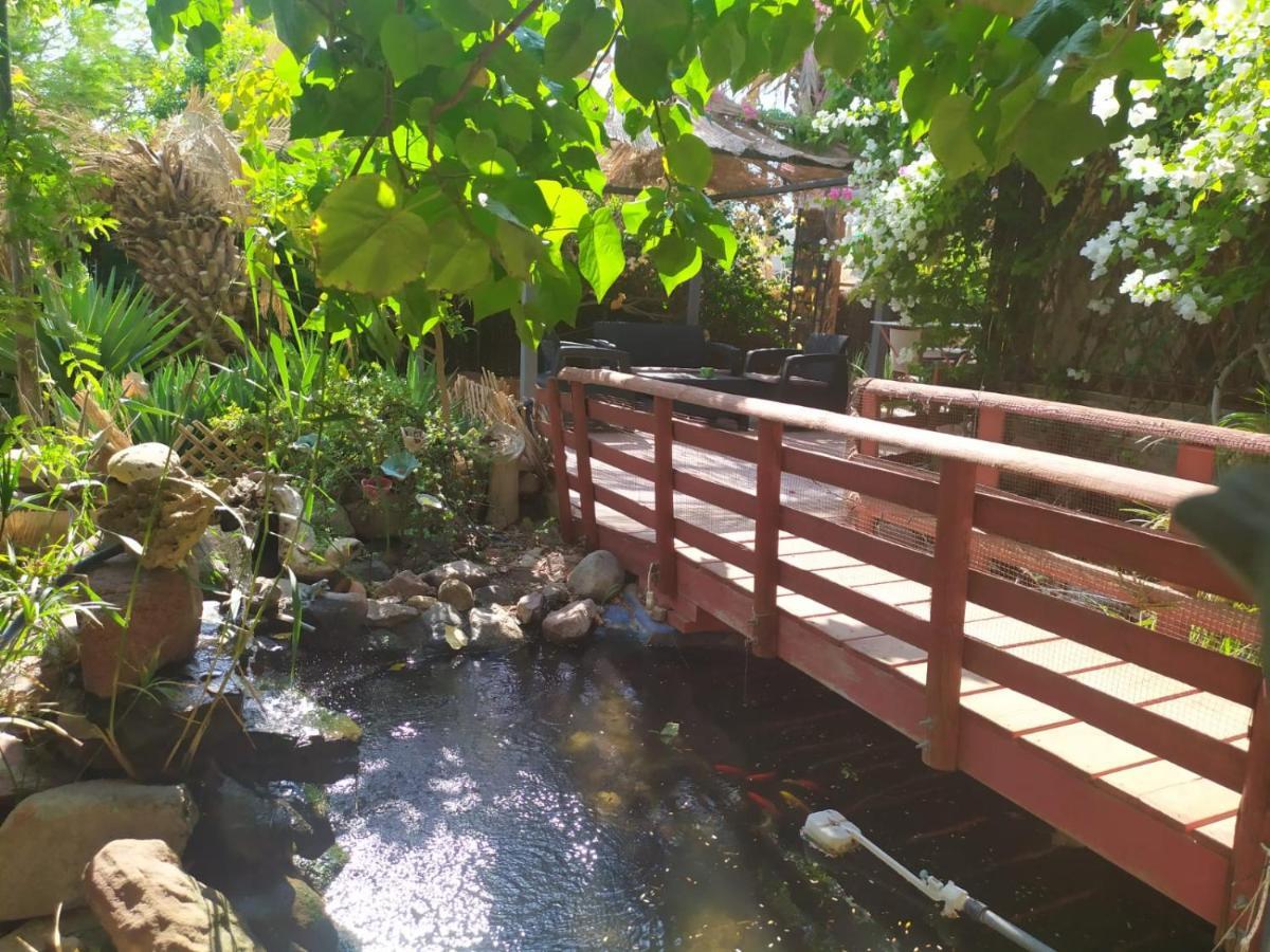 Apartament Lotus Turtle Garden Ejlat Zewnętrze zdjęcie